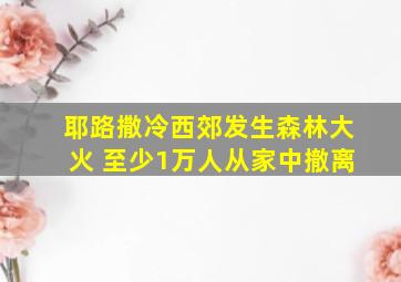 耶路撒冷西郊发生森林大火 至少1万人从家中撤离